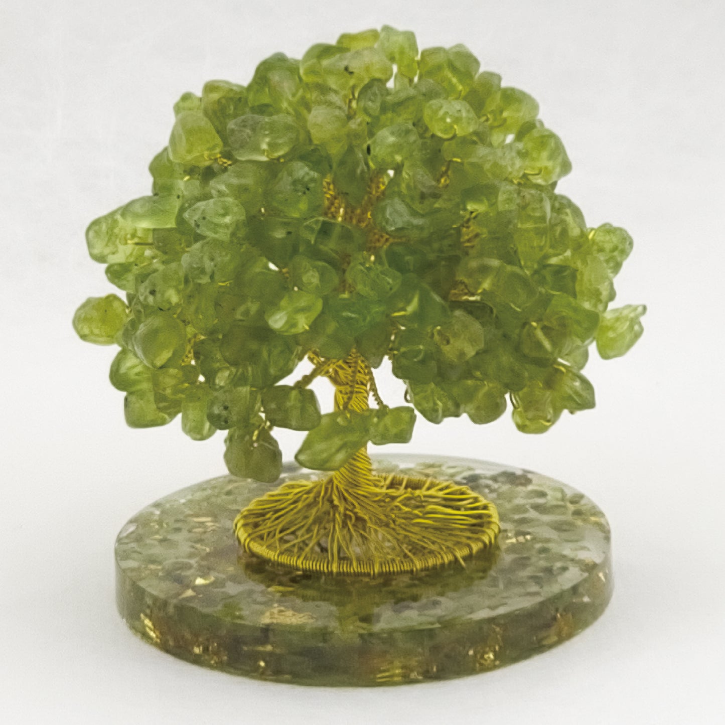 Money Tree Olivine @ Love Paradise Series