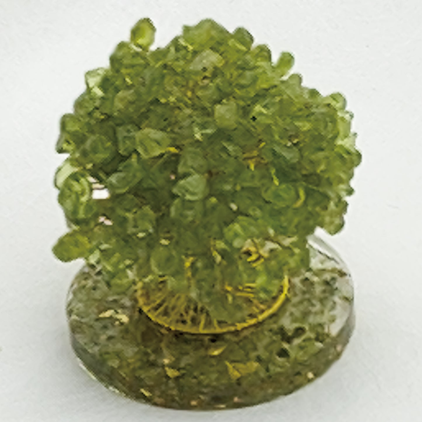 Money Tree Olivine @ Love Paradise Series