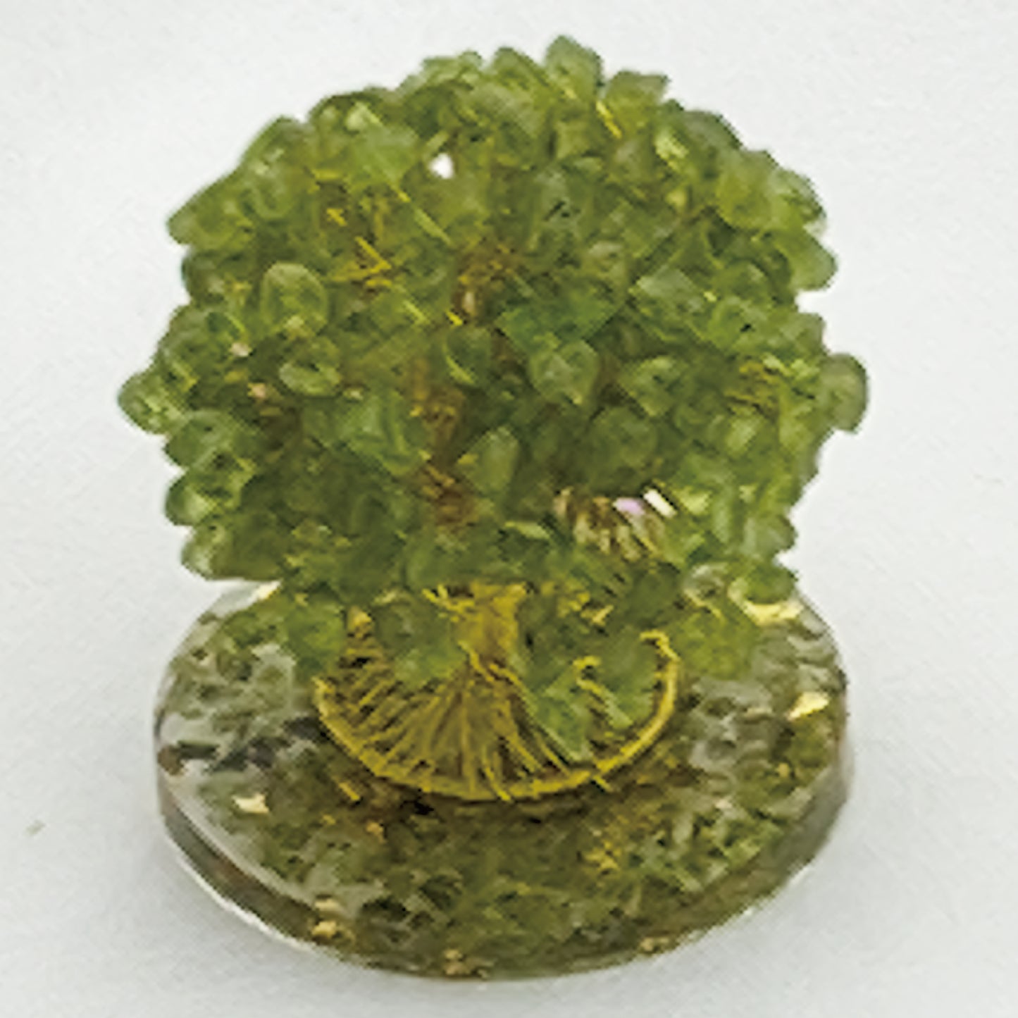Money Tree Olivine @ Love Paradise Series