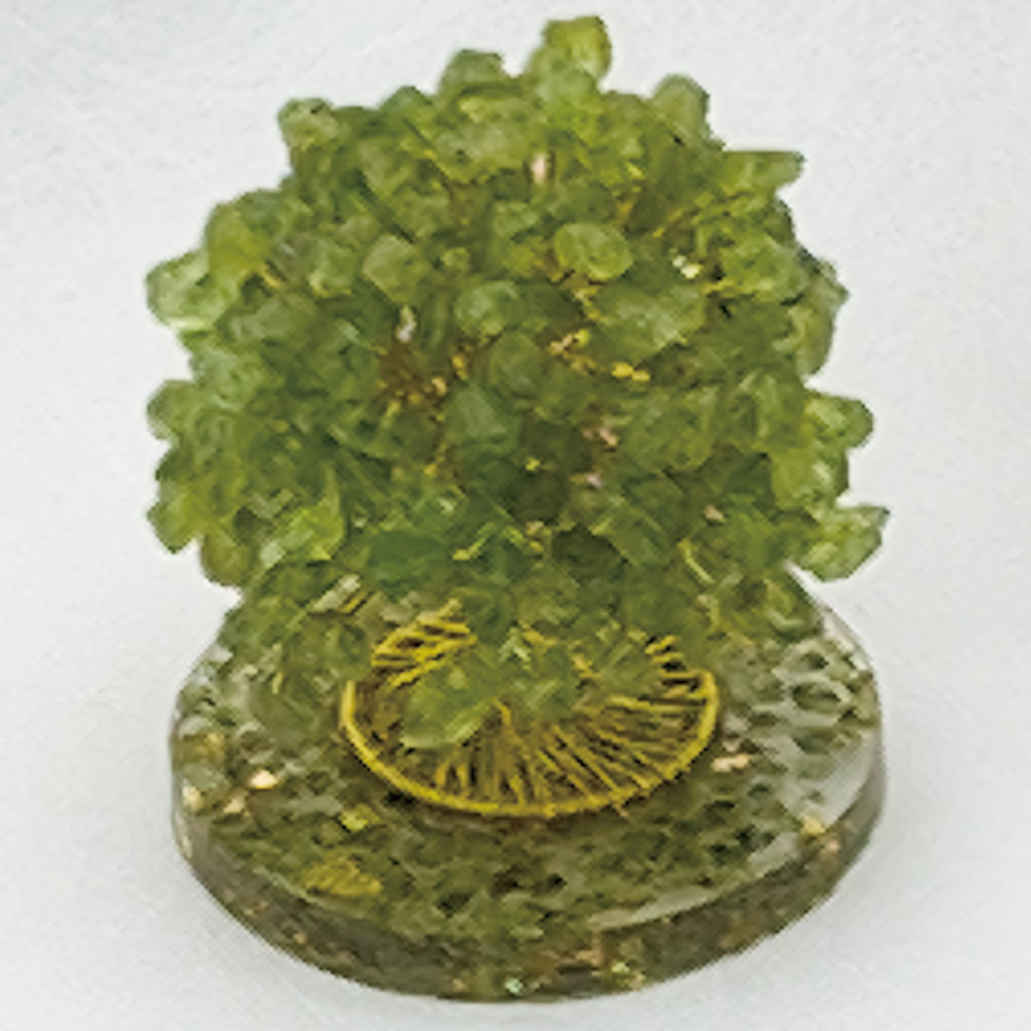 Money Tree Olivine @ Love Paradise Series