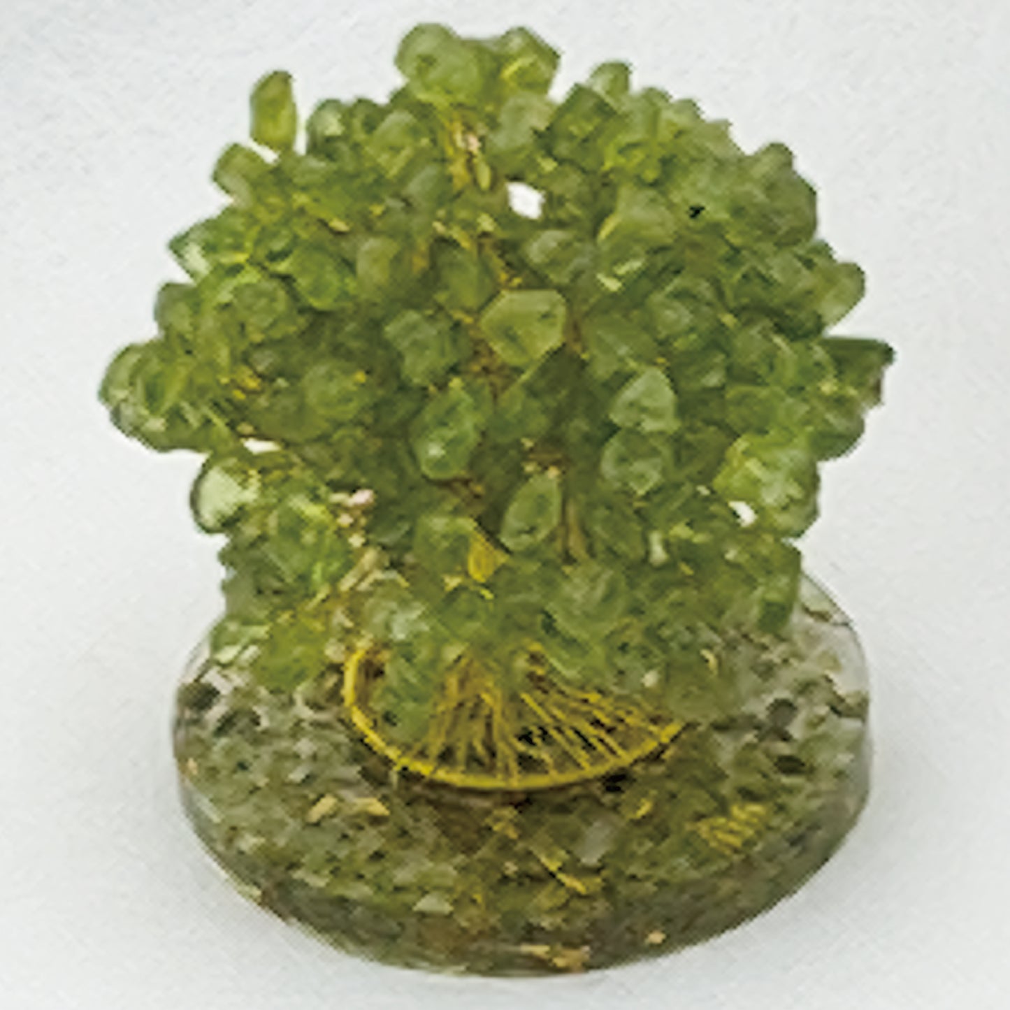 Money Tree Olivine @ Love Paradise Series