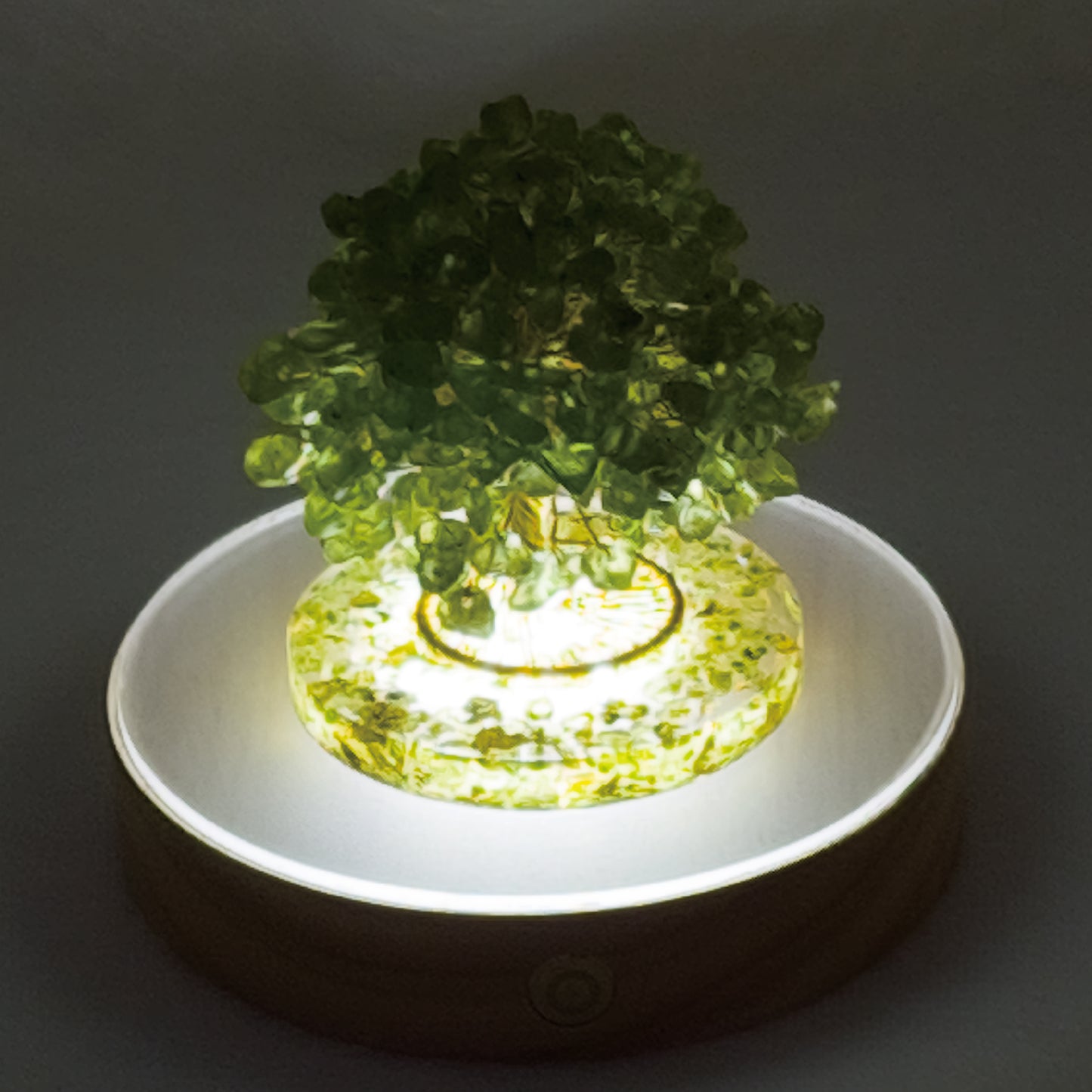 Money Tree Olivine @ Love Paradise Series