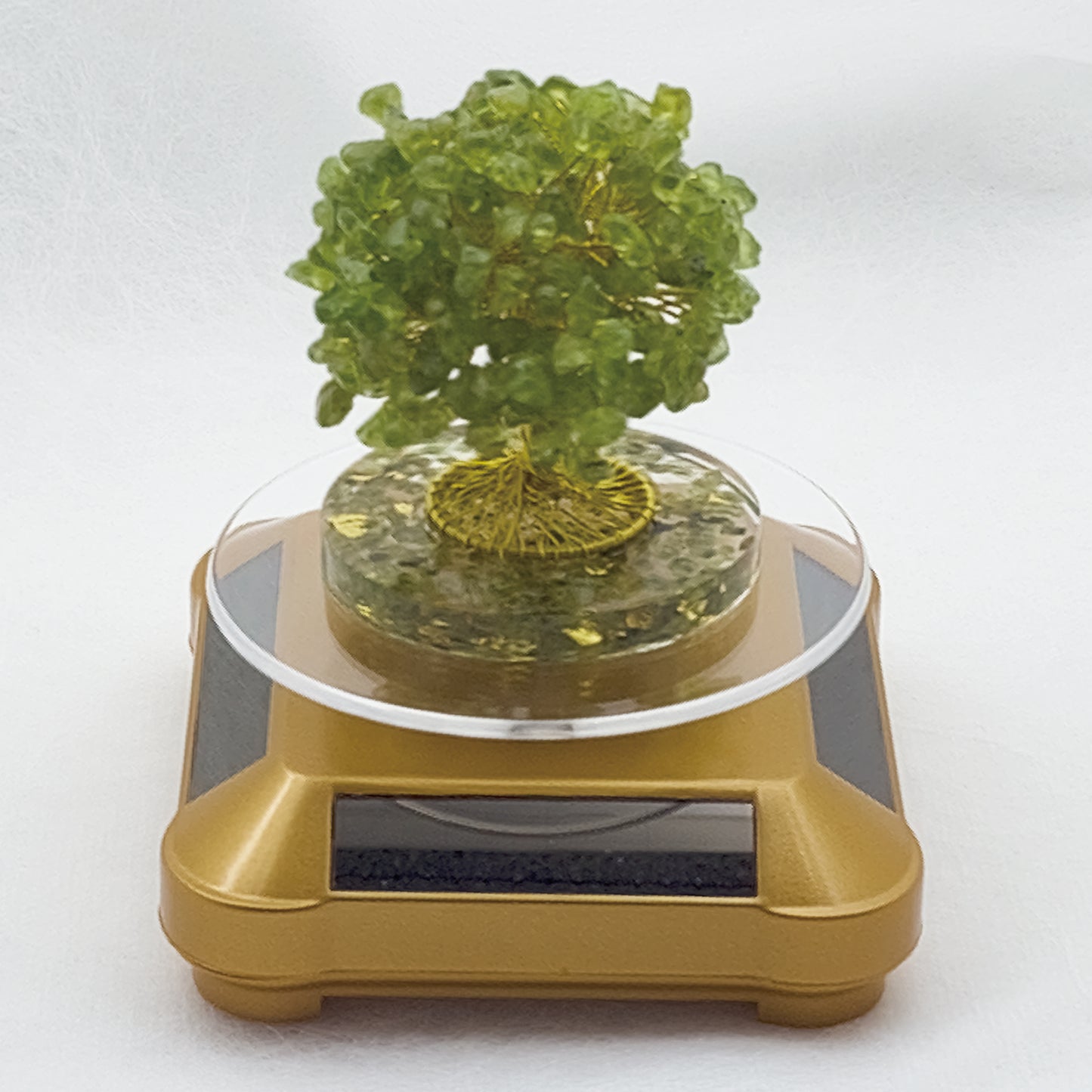 Money Tree Olivine @ Love Paradise Series