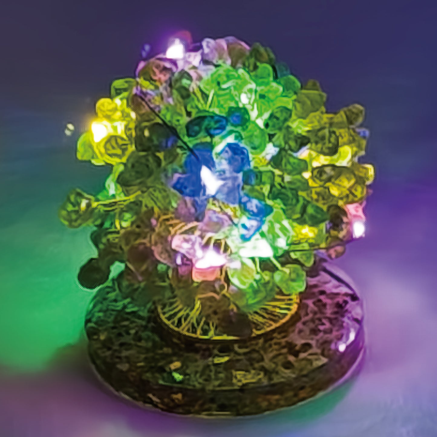 Money Tree Olivine @ Love Paradise Series
